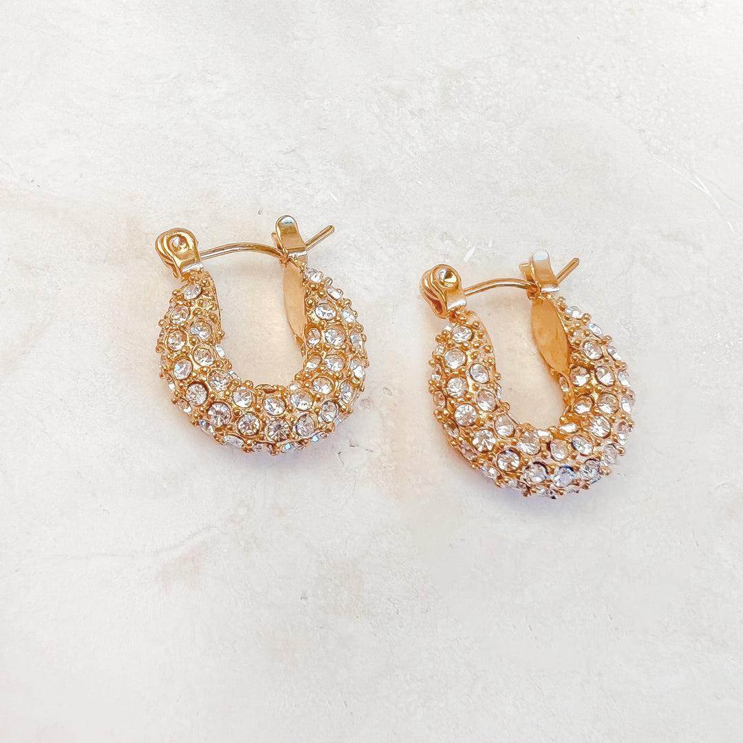 Amoroso Crystal Earrings - Earrings