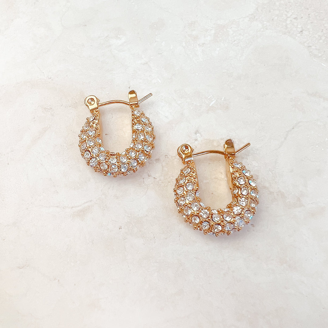 Amoroso Crystal Earrings - Earrings