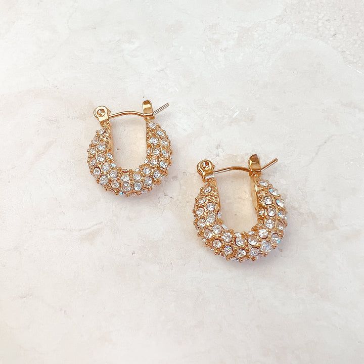Amoroso Crystal Earrings - Earrings
